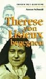 Übungen zur Leistungselektronik.