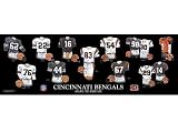 Cincinnati Bengals 10 x 30 Uniform History Plaque