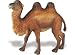Wild Safari Jungle - Camel by Safari Ltd