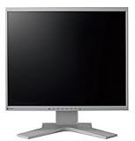 NANAO FlexScan 19C`tfBXvC Z[OC S1961-GY