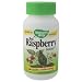 Nature's Way Red Raspberry Leaves , 480 mg, 100 Capsules