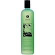 Shunga Mint Bath and Shower Gel Duo Sex Toy Kit
