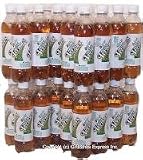 Diet Ginger Soda (Ale),