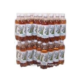 Diet Ginger Soda (Ale),