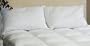 King 20"x36" Bed Pillows - 60oz. White Goose Feather Down Filling - 5 Star Hotel Collection (Package of 2 Bed Pillows)