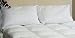 Standard 20"x26" Bed Pillows - 40oz. White Goose Feather Down Filling - 5 Star Hotel Collection (Package of 2 Bed Pillows)