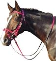 Harry's Horse Bridle TPU endurance - Medium (cob) raspberry