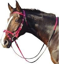 Harry's Horse Bridle TPU endurance - Medium (cob) raspberry