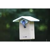 Recycled Ultimate Bluebird House w Camera by A Bird