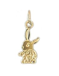 Dazzlers Solid 14k Gold Rabbit Charm Pendant Available in three colors from jewelsberry (weights: 0.4 grams only)