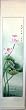 Chinese brush painting sumi scroll - lotus blossoms, dragonfly and frog - watercolor on paper