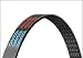 Automotive : Dayco 15640 V-Belt