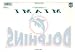 Miami Dolphins Large Reusable Static Window Cling