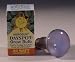 Bonsai Boy's Grow Bulb<br>60 Watt Replacement for e1478<br>