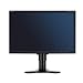 NEC MultiSync EA241WM 61 cm (24 Zoll) Widescreen TFT Monitor DVI-D, VGA (Kontrast 1000:1, 5ms Reaktionszeit) schwarz