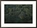 Aerial view of a rainforest in Suriname, South America Framed Art Print by Stephen Alvarez, 29 x 22