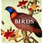 Birds: The Art of Ornithology