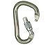 Black Diamond RockLock Screwgate Carabiner