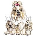 Shih Tzu Adult T-Shirt