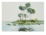 St. Johns River, Florida, 1890 Art Giclee Poster Print by Winslow Homer, 24x18