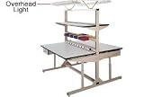 Overhead Light Kit For Single Sided Flexline Unit