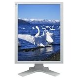 Eizo ColorEdge 21.3-Inch LCD Monitor (CG211)