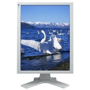 Eizo ColorEdge 21.3-Inch LCD Monitor (CG211)