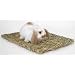 Woven Grass Mat - 11 1/4 in. x 16 in.