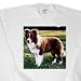 Dogs Border Collie - Border Collie Tan and White - Sweatshirts