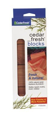 4CT LGE SZ Cedar Blocks