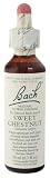 Nelson Bach USA - Sweet Chestnut, 20 Milliliter liquid