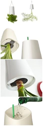 Siam Circus White Sky Planter Upside-down Plant Pot