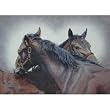 Special Connections Two Horses Western Decor Indoor Outdoor Doormat Rug Mat