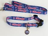 MLB Collar & Leash Sets - St Louis Cardinals - Large