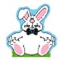 CARSON DELLOSA NOVEL NOTE RABBIT50 SHEETS
