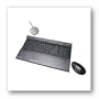 Sony VAIO Wireless Keyboard Kit - keyboard , mouse, touchpad ( VGP-WKB1 )