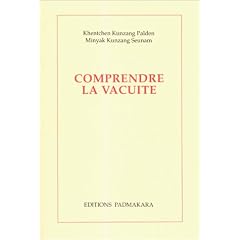 Comprendre la vacuit�: Deux commentaires du chapitre IX de La marche vers l'�veil de Sh�ntideva