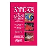 Dr. Burgess' Mini Atlas Of Marine Aquarium Fish