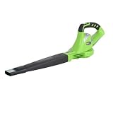 Greenworks 24092 20 Volt 26 Amp Hour Lithium Ion Cordless Electric 132 MPH Leaf Bl