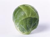 A Single Brussels Sprout Photographic Poster Print by Cyndy Black, 30x40