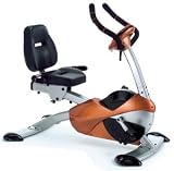 Cap Barbell Omega Recumbent Bike (Copper)