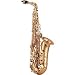 Yanagisawa Model A-901 Artist Alto Sax
