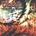 Mass Emission Image