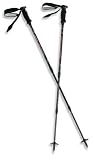 MSR Overland Carbon Trekking Poles