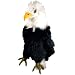 Authentic Animal HC - Eagle Body