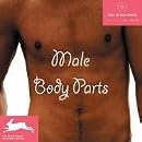 Male Body Parts