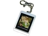 1.5 luxury digital photo frame key ring -silver or black - silver