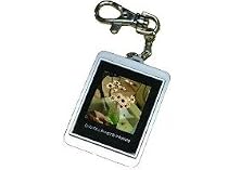 1.5" luxury digital photo frame key ring -silver or black - silver