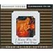 I Know Why the Caged Bird Sings (Abridged Audio Edition)