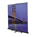 Ceiling Projection Screen